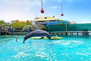 CARTAGENA: 4 wyspy łodzią sportową + bilety do oceanarium
