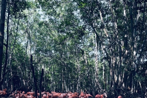 CARTAGENA: Viagem de 1 dia ao Aviário e à Praia com Almoço