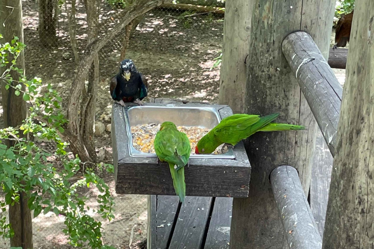 Cartagena: Aviary National Park Tour with Hotel Pickup