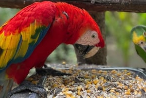 Cartagena: Aviary National Park Tour with Hotel Pickup