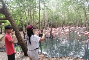 Cartagena: Aviary National Park Tour with Hotel Pickup