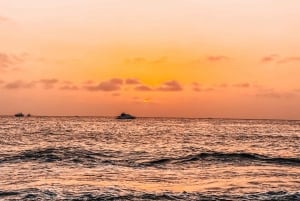 Cartagena: Barú Sunset Beach with Bioluminescent Plankton