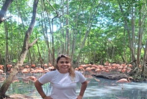 CARTAGENA: AUSFLUG Baru + Aviarium (Eintritt nicht inbegriffen) + Mittagessen