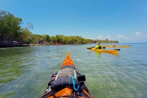 Cartagena: Barú Island Kayak Tour with Lunch & Pickup