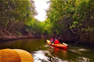 Cartagena: Barú Island Kayak Tour with Lunch & Pickup