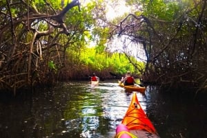 Cartagena: Barú Island Kayak Tour with Lunch & Pickup