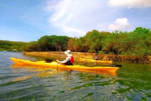 Cartagena: Barú Island Kayak Tour with Lunch & Pickup