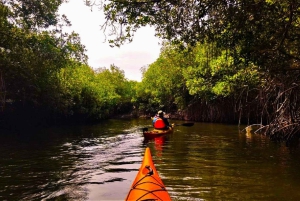Cartagena: Barú Island Kayak Tour with Lunch & Pickup