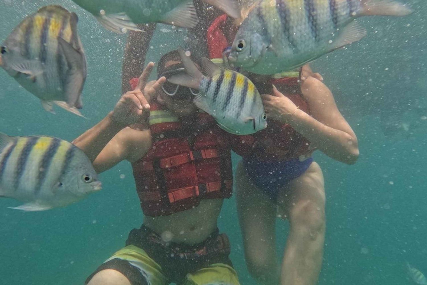 Cartagena: BARÚ Playa blanca com SNORKELING INCLUÍDO