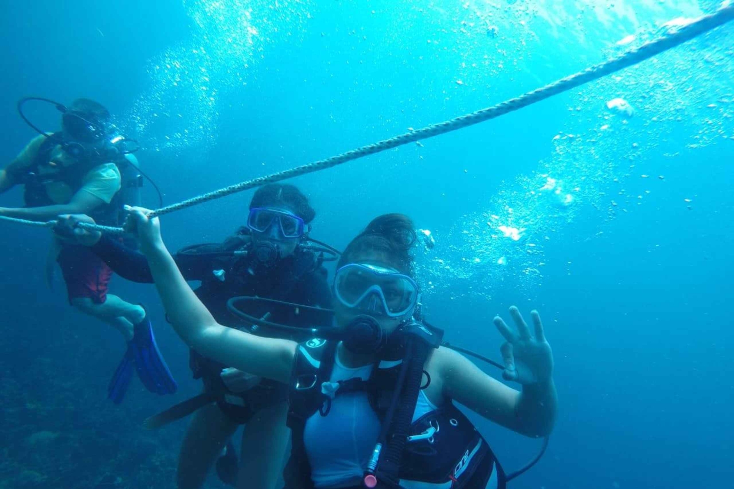 Cartagena: Grunnleggende dykking for nybegynnere på Rosario-øyene