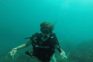 Cartagena: Grundlegendes Tauchen für Anfänger auf den Rosario Inseln