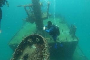 Cartagena: Grunnleggende dykking for nybegynnere på Rosario-øyene