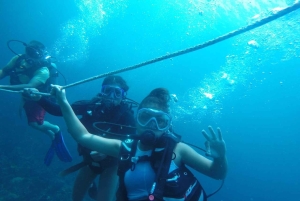 Cartagena: Grunnleggende dykking for nybegynnere på Rosario-øyene