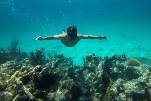 Cartagena: Grunnleggende dykking for nybegynnere på Rosario-øyene