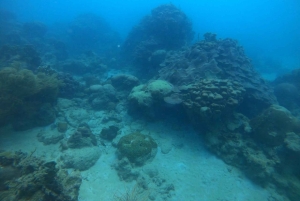 Cartagena: Grunnleggende dykking for nybegynnere på Rosario-øyene