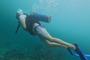 Cartagena: Grunnleggende dykking for nybegynnere på Rosario-øyene