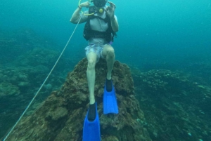 Cartagena: Grunnleggende dykking for nybegynnere på Rosario-øyene