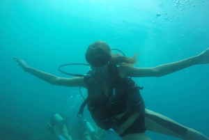 Cartagena: Grunnleggende dykking for nybegynnere på Rosario-øyene