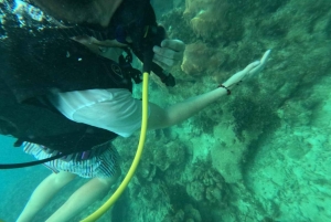 Cartagena: Grunnleggende dykking for nybegynnere på Rosario-øyene