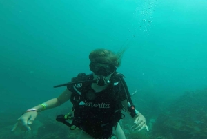 Cartagena: Grunnleggende dykking for nybegynnere på Rosario-øyene