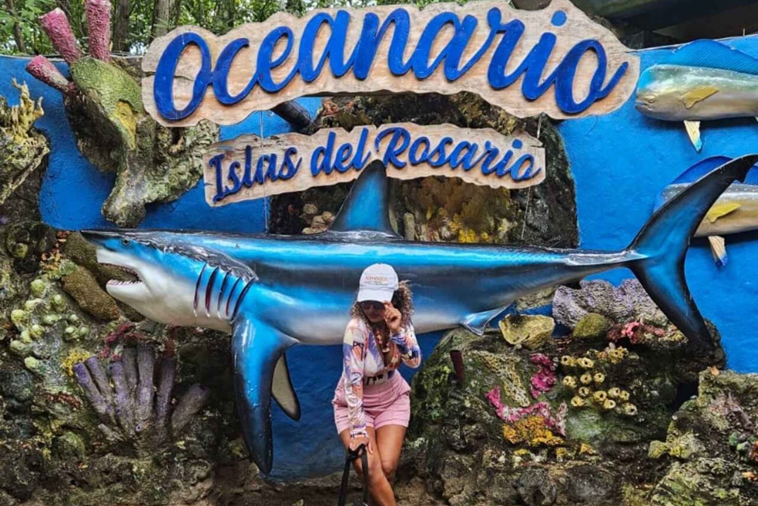 Cartagena: Basic tour of the islands, visit the aquarium and lunch in Baru