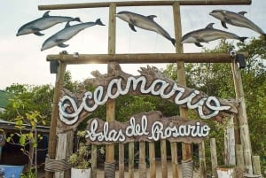 Cartagena: Peruskierros saarilla, vierailu akvaariossa ja lounas Barussa.