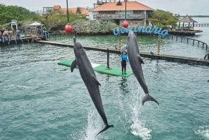 Cartagena: Peruskierros saarilla, vierailu akvaariossa ja lounas Barussa.