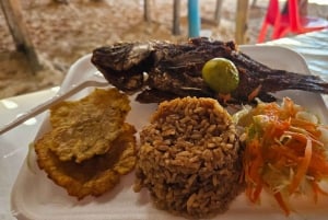 Cartagena: Peruskierros saarilla, vierailu akvaariossa ja lounas Barussa.