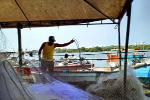 Kartagena: wycieczka po targu Bazurto i lekcja gotowania