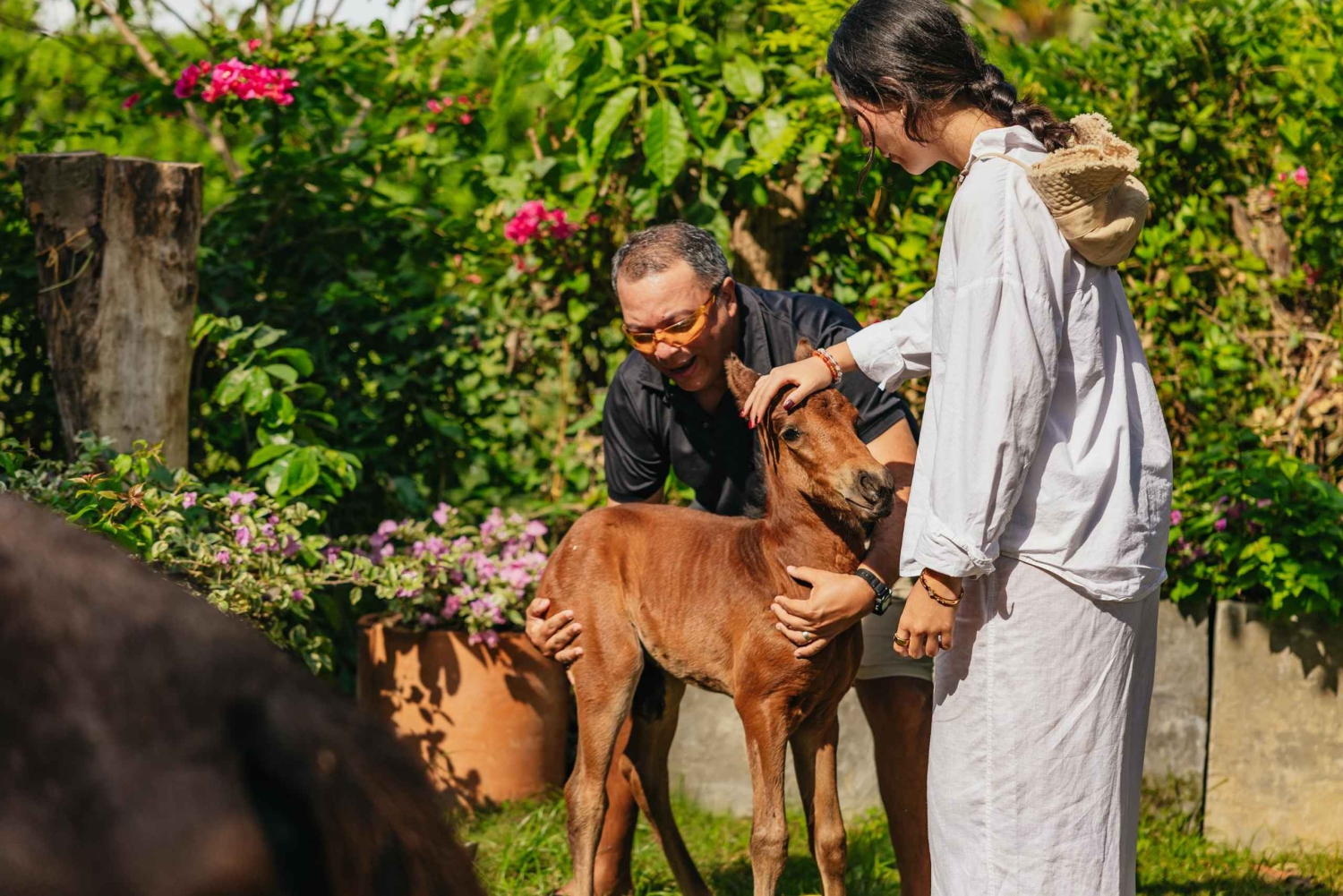 Cartagena: Passeio a cavalo pela praia e cultura equestre colombiana