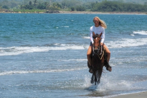 Cartagena: Beach Horse Ride and Colombian Horse Culture