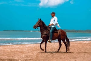 Cartagena: Paseo a caballo por la playa y cultura ecuestre colombiana