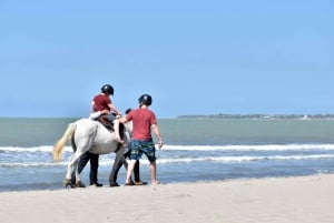 Cartagena: Beach Horse Ride and Colombian Horse Culture