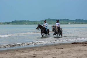 Cartagena: Beach Horse Ride and Colombian Horse Culture