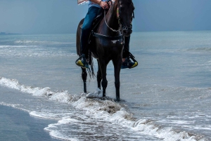 Cartagena: Beach Horse Ride and Colombian Horse Culture