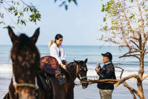 Cartagena: Beach Horse Ride and Colombian Horse Culture