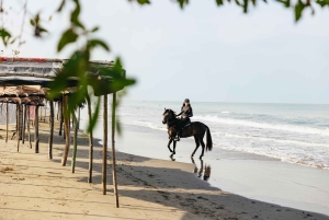 Cartagena: Beach Horse Ride and Colombian Horse Culture