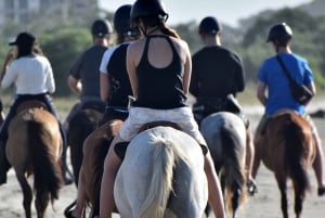 Cartagena: Beach Horse Ride and Colombian Horse Culture