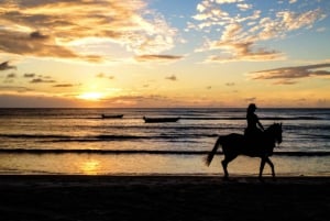 Carthagène : promenade à cheval sur la plage ou croisière dans la baie