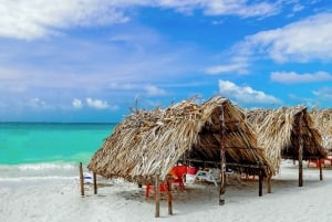 Carthagène : promenade à cheval sur la plage ou croisière dans la baie
