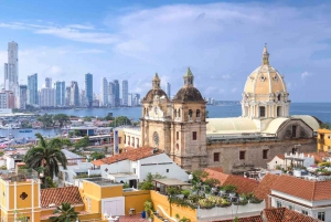 Cartagena: Best Street Food with Local Chef