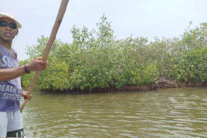 Cartagena: Bird watching experience in the mangrove