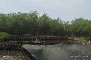 Cartagena: Experiencia de observación de aves en el manglar