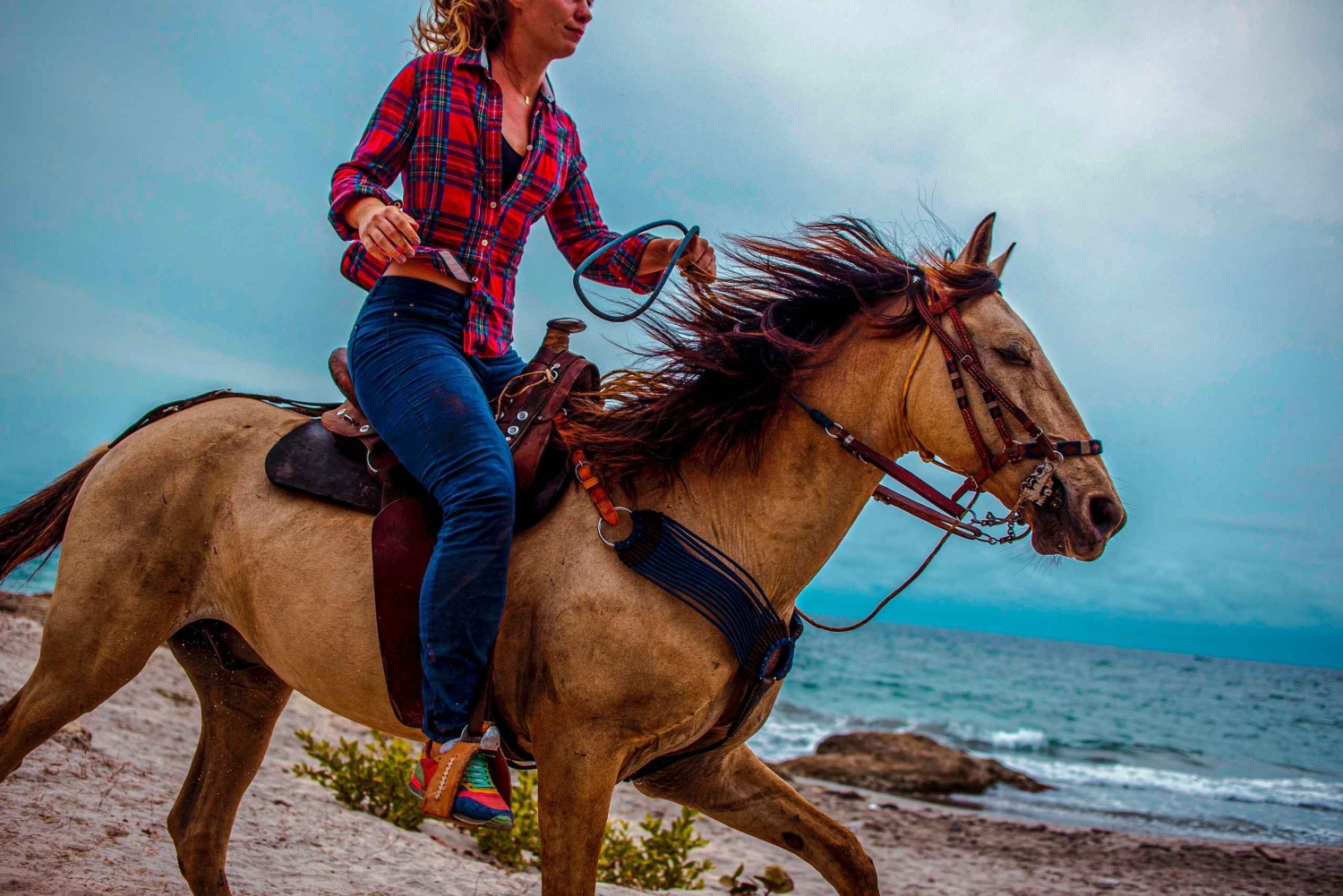 Cartagena, Blauw Appelstrand, Paardentochten