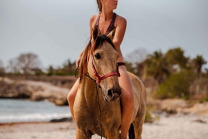 Cartagena, Blauw Appelstrand, Paardentochten