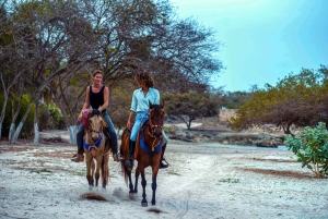 Cartagena, Blauw Appelstrand, Paardentochten