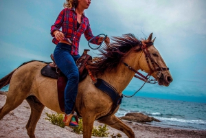 Cartagena, Blauw Appelstrand, Paardentochten