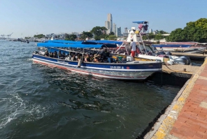 Cartagena: Boat transfer to and from hotels in Isla Grande