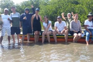 Cartagena: Canoe Tour through Mangroves