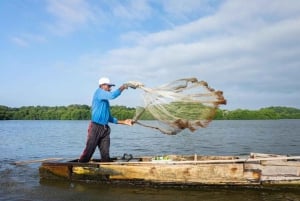 Cartagena: tour in canoa con birdwatching, trasferimenti e snack
